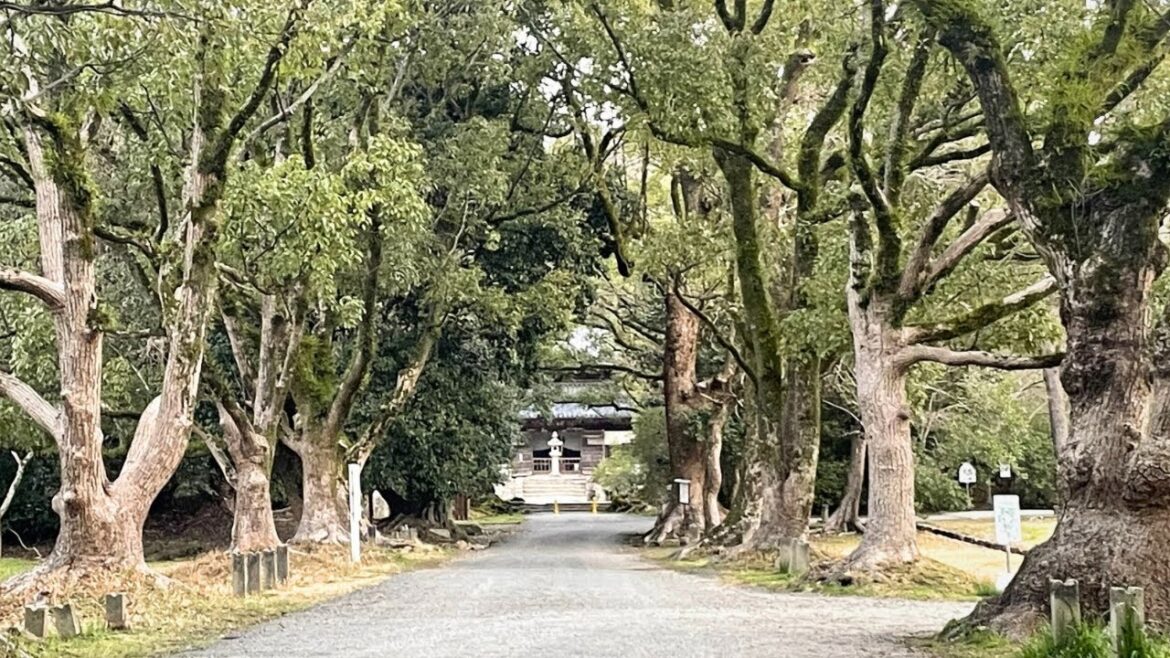 Quiet Morning Walk at Kanzeonji Temple | Japan Walking Tour | Natural Sounds