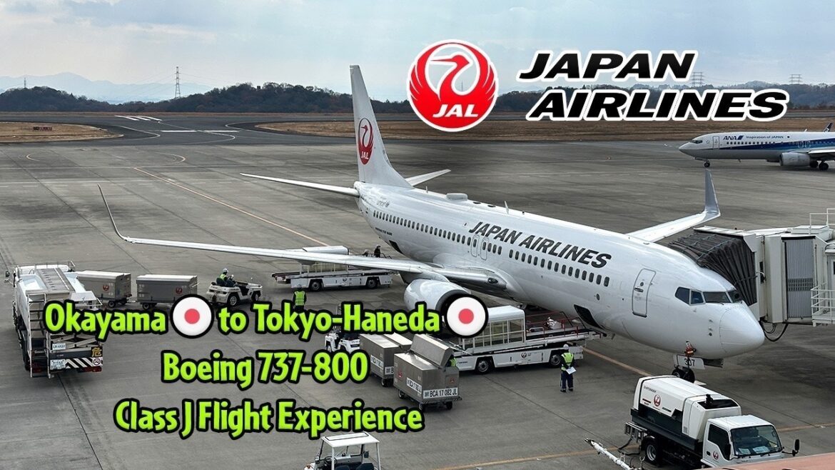 Japan Airlines Boeing 737-800 Okayama to Tokyo-Haneda Business Class Flight Experience