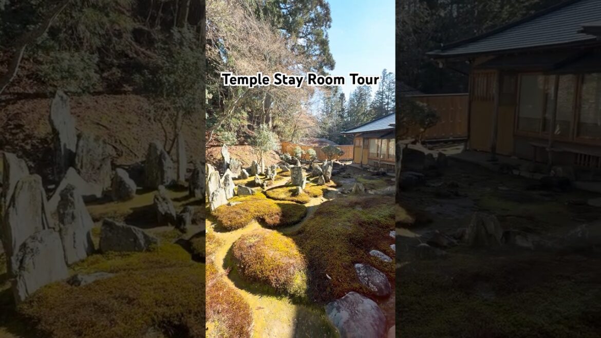 Temple Stay Room Tour in Mount Koya (Wakayama, Japan)๐ฏ๐ต๐พ๐ Temple Stay Room Tour in Mount Koya (Wakayama, Japan)๐ฏ๐ต๐พ๐