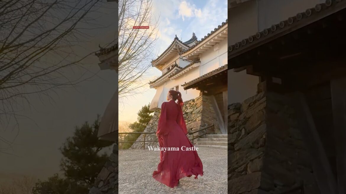 【Japan】Three Places with Ties to Toyotomi Hideyoshi and Hidenaga  #wakayama #japan #japantravel