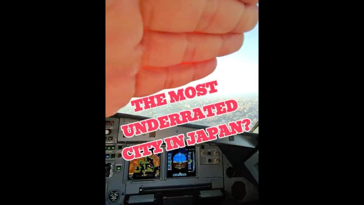 Beautiful arrival into Fukuoka #aviation #pov #landing #msfs2020