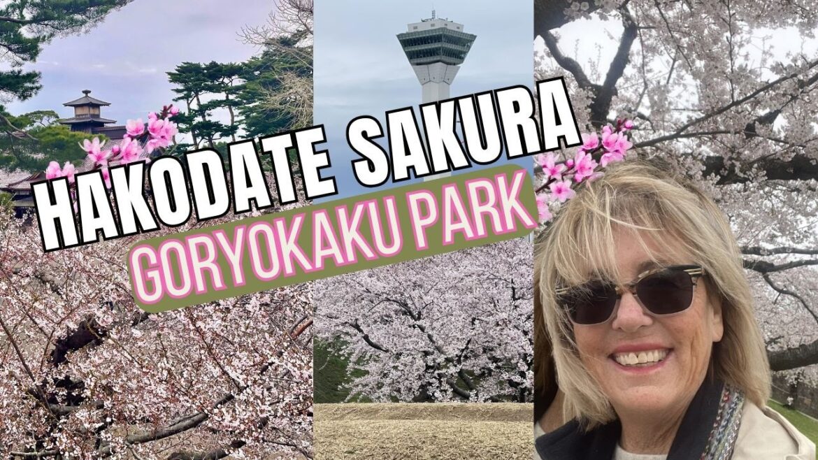 Hakodate Cherry Blossoms at Goryokaku Park | Easy Visit from Cruise Port