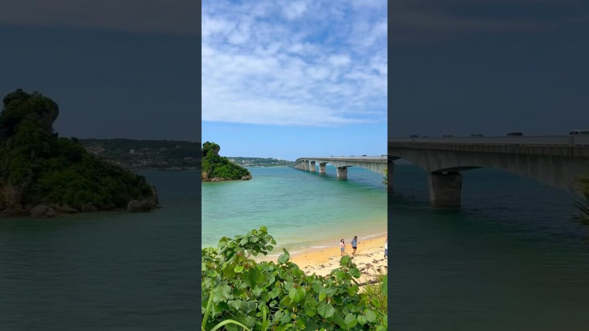 The next station is OKINAWA #viralvideo #okinawalongevity #fyp #viralvideo