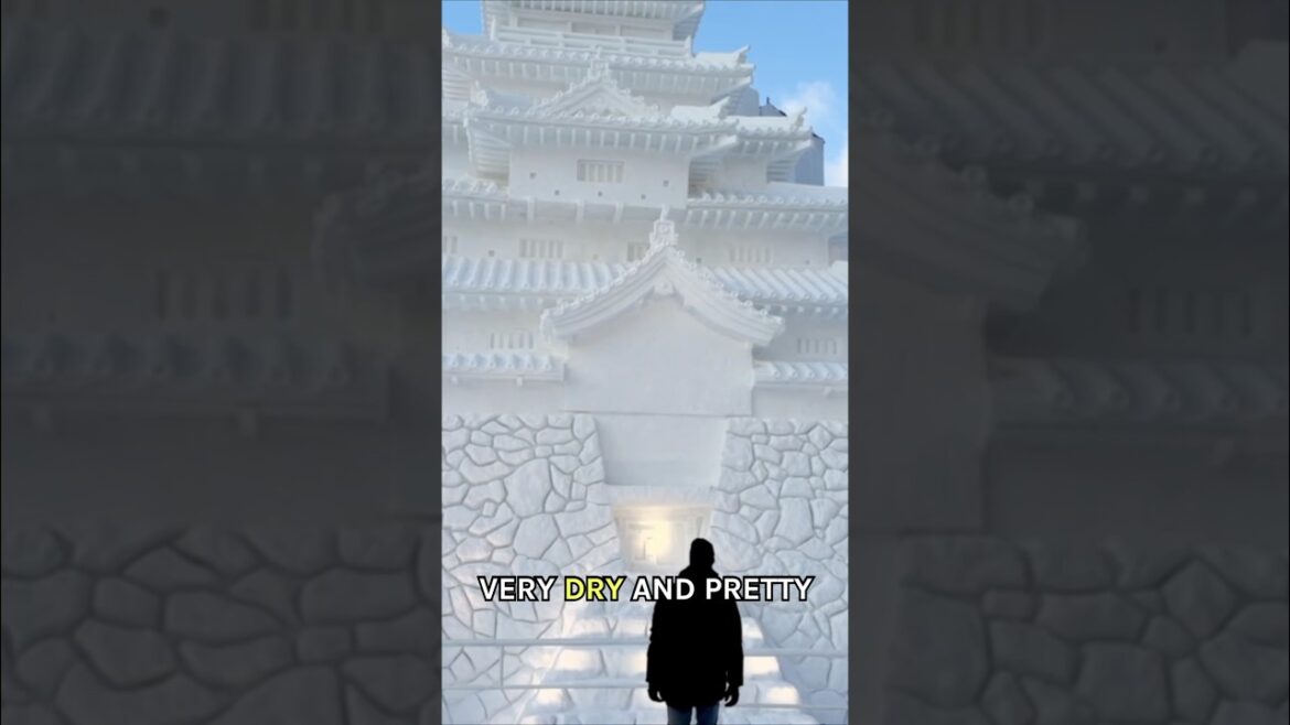 This jacket saved me in Japan winter. Full setup below ↓ #sapporo #japantravel