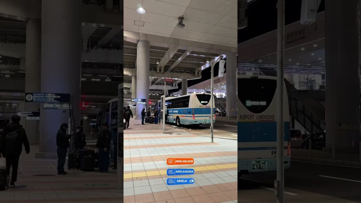 Where to find buses in Kansai International Airport #kansai #japanairport