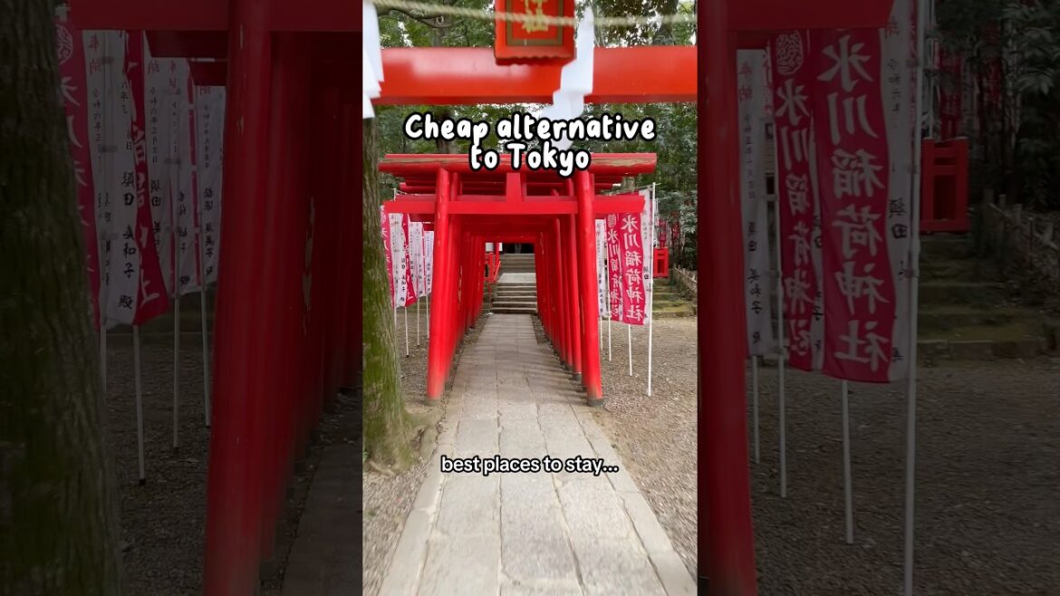 Stay HERE next time you visit 🇯🇵