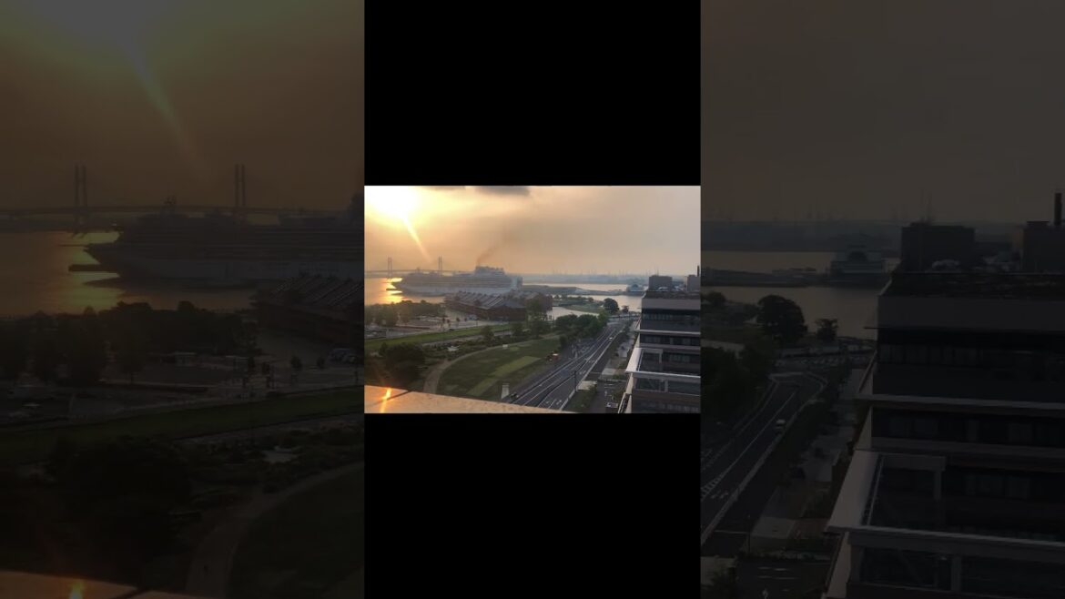 🚢Princess Cruise Ship Calling In Yokohama🚢 #travel