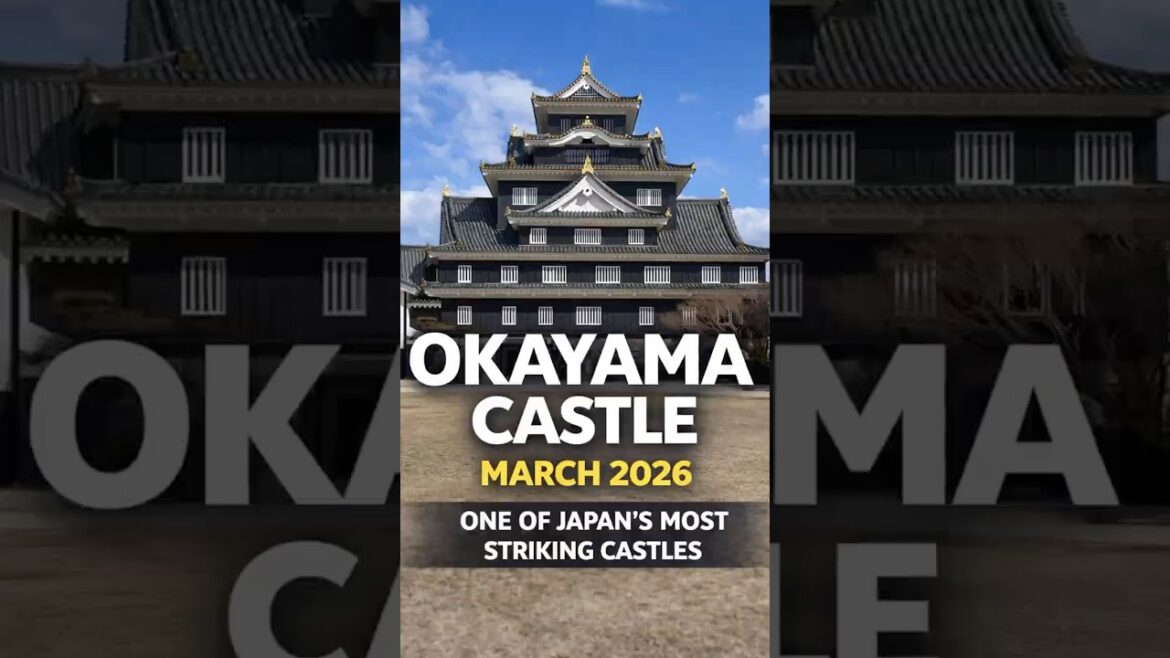 Okayama Castle 🏯 Japan’s Black ‘Crow Castle’ | Samurai History & Museum Tour