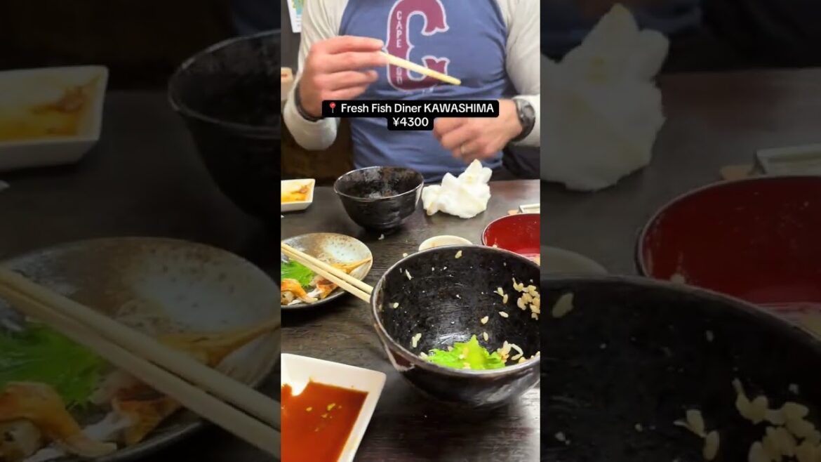 Japan Travel Vlog Day 29/50