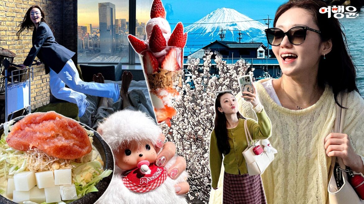 도쿄 → 시즈오카 | 🌸벚꽃 보러왔다가 🗻후지산 보러갔지요 | 엄마랑 3박4일 일본여행 ✈️ Tokyo Shizuoka Travel Vlog