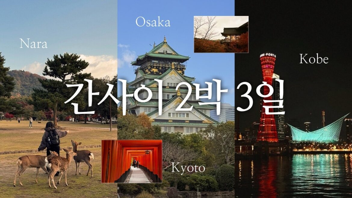 간사이 2박3일 알찬 여행 브이로그 | 나라·고베·교토·오사카