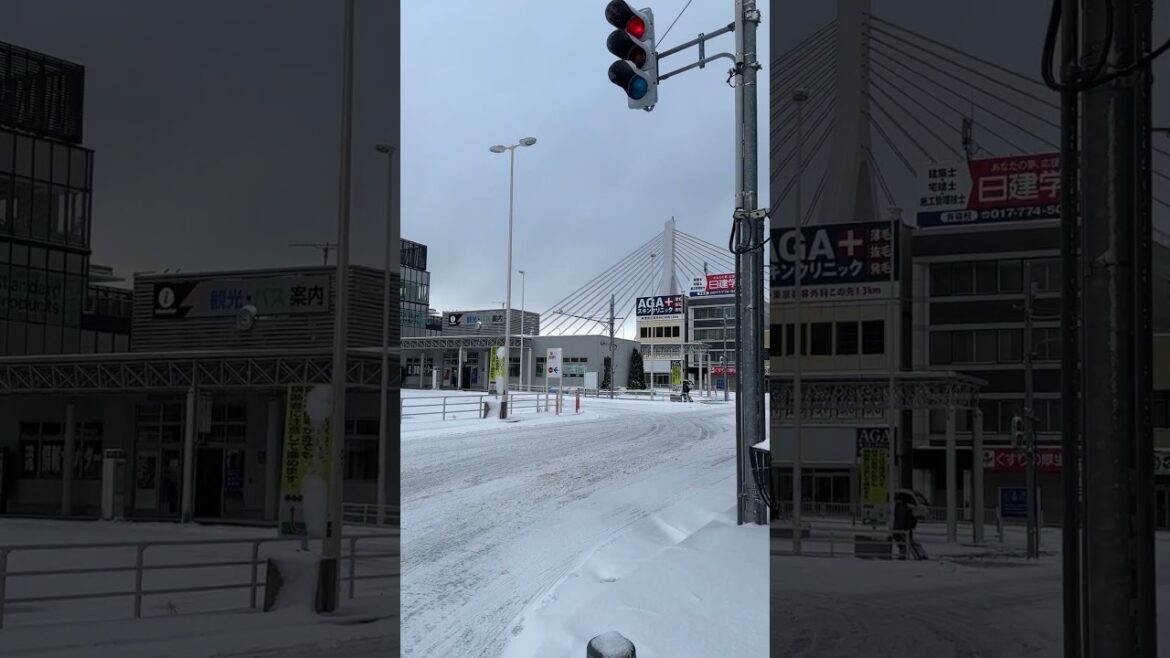 What to See Near Aomori Station #snow #travel