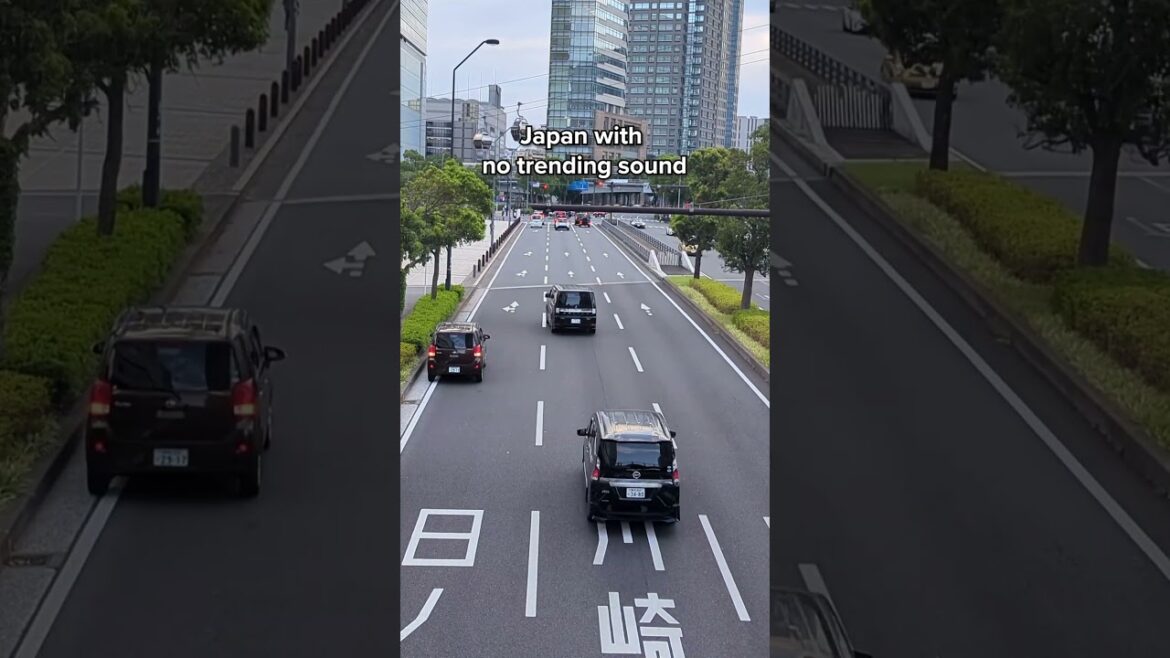 walking around sakuragicho, yokohama | city lights & bay views