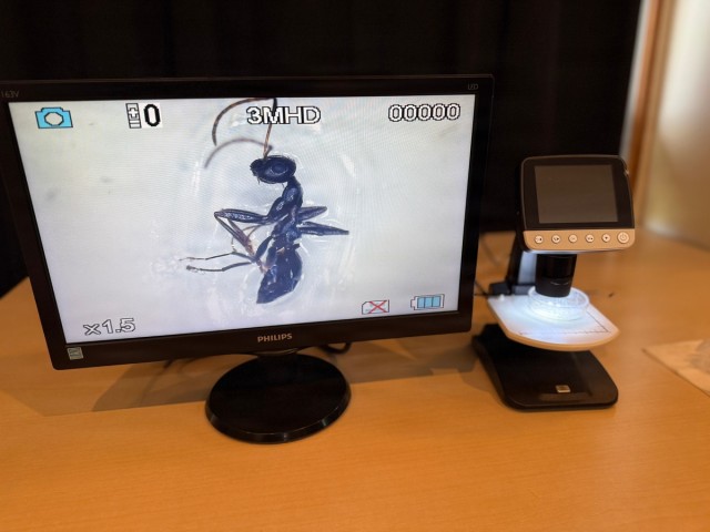 USAG Okinawa, Japanese partners eradicate invasive ants