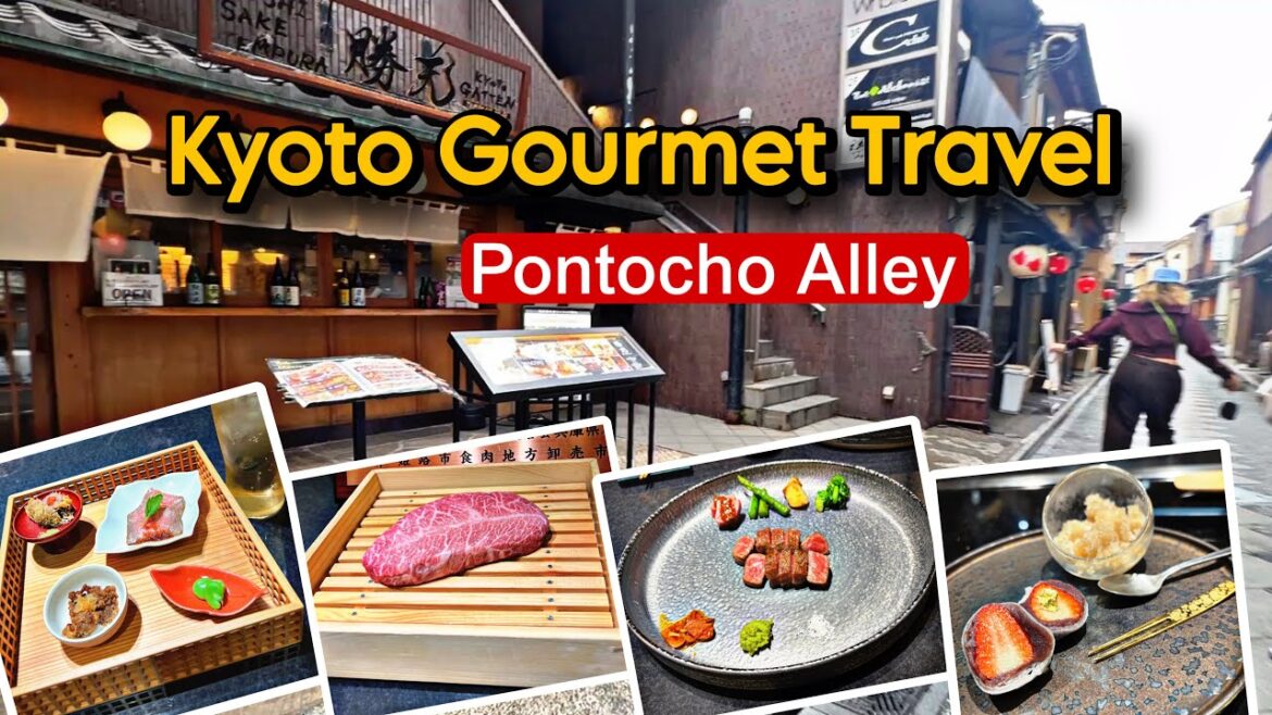STEP INTO OLD JAPAN : PONTOCHO ALLEY KYOTO TRAVEL VLOG
