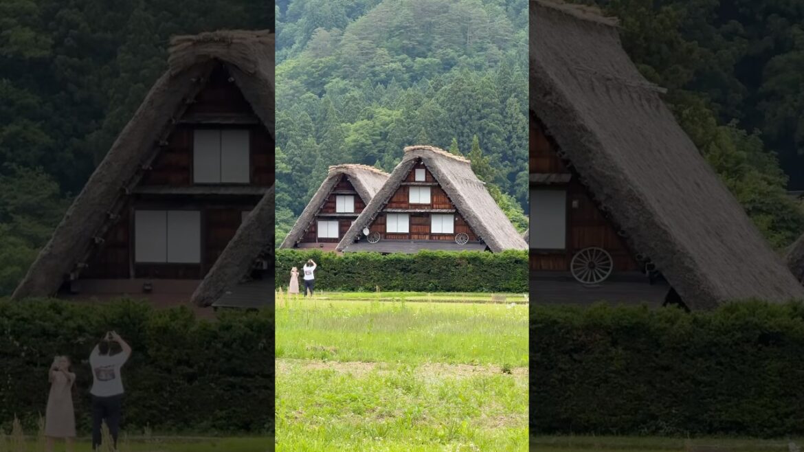 Japan Ke Sundar Desi Village 😍 #shorts
