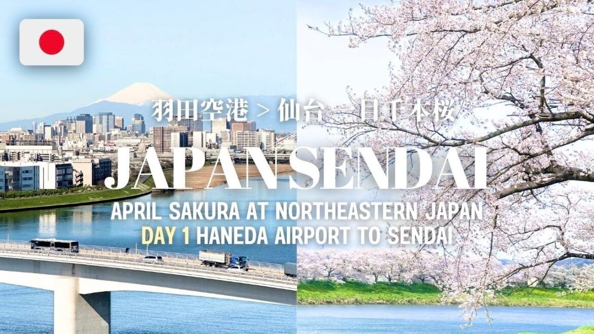 Japan Sakura Trip Day 1 - Airport Onsen, Sendai Cherry Blossoms along 8km river, food & more 仙台一目千本櫻