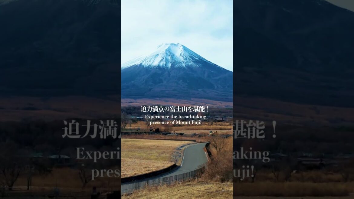 The Beauty of Japan:Mt.Fuji Helicopter Tour🗻✨【90分コース】#fuji #mountfuji #fujisan The Beauty of Japan:Mt.Fuji Helicopter Tour🗻✨【90分コース】#fuji #mountfuji #fujisan