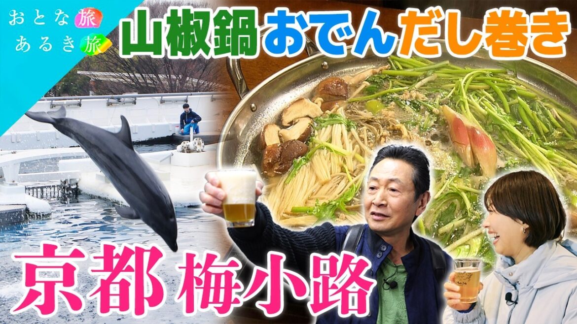 【春風薫る🌸京都・梅小路】古都の風に誘われ至福の酒と美味いもん 激安まぐろ丼~おでん~京山椒なべ~京都水族館 #おとな旅あるき旅 #traveljapan #三田村邦彦 #小塚舞子 【春風薫る🌸京都・梅小路】古都の風に誘われ至福の酒と美味いもん 激安まぐろ丼~おでん~京山椒なべ~京都水族館 #おとな旅あるき旅 #traveljapan #三田村邦彦 #小塚舞子