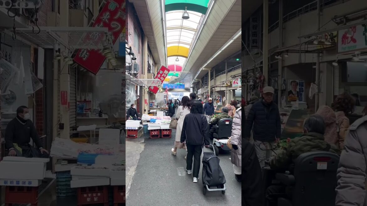 【KOBE】Must-See Local Shopping Spot - Minatogawa Shopping Street