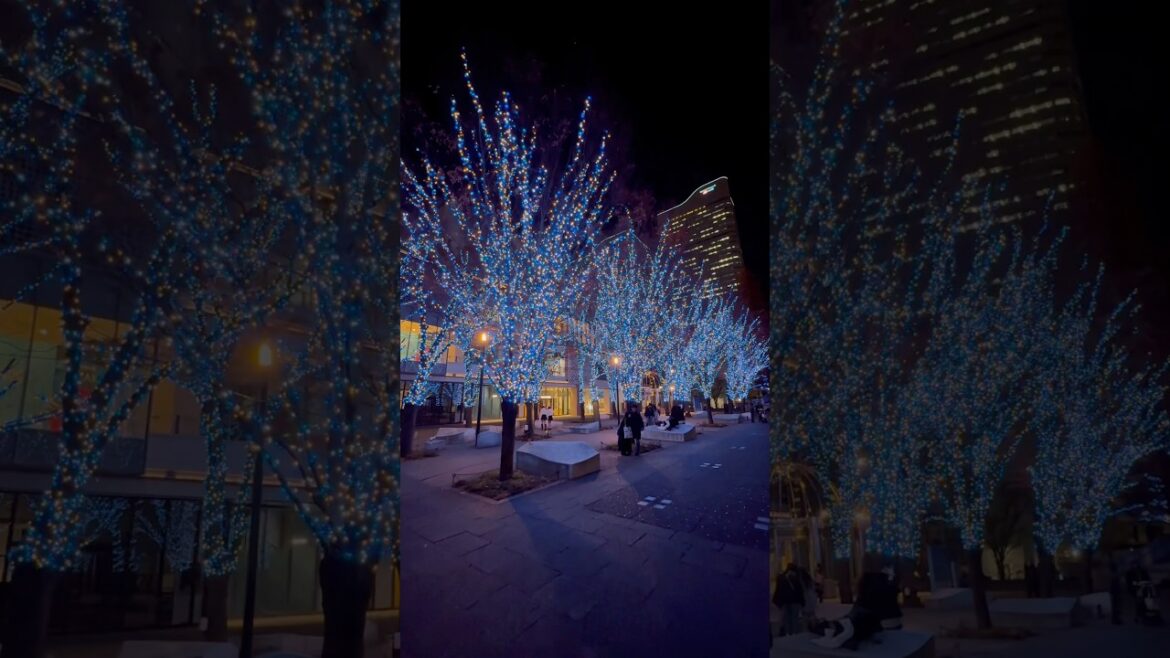 Christmas lights #christmas #shortvideo #shorts #shortsfeed #yokohama #viralvideo