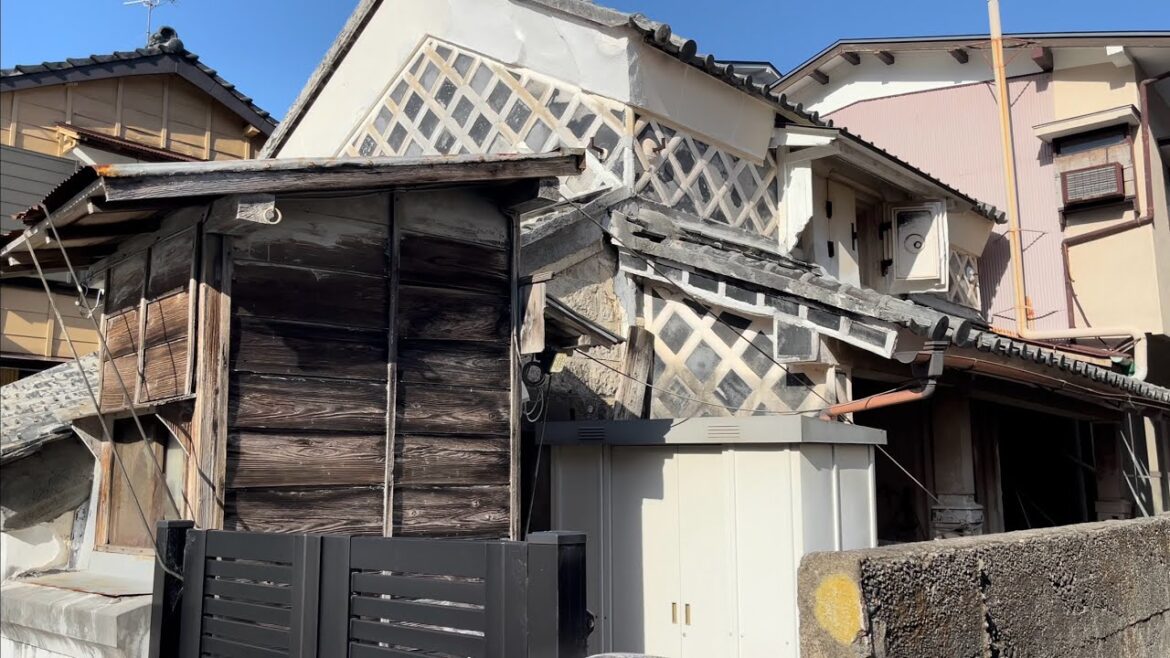 Shizuoka Izu Arari walk, Japan [4K HDR]