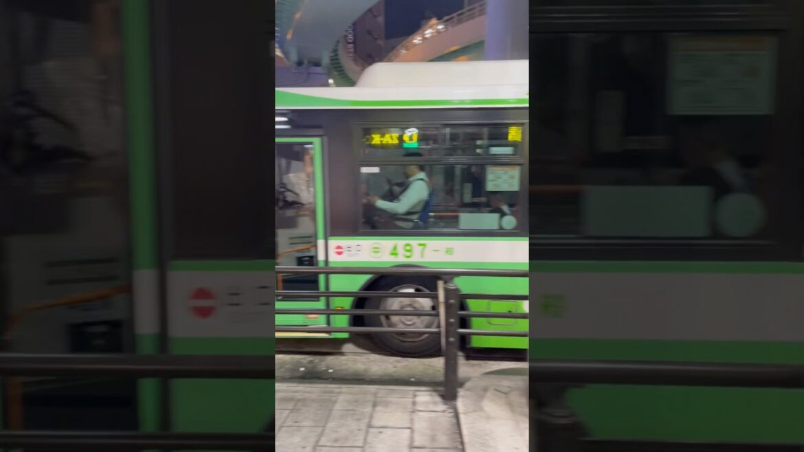 Travel Vlog Kobe Japan A Day Exploring Kobe Harbor Ramen Spots And Night Streets