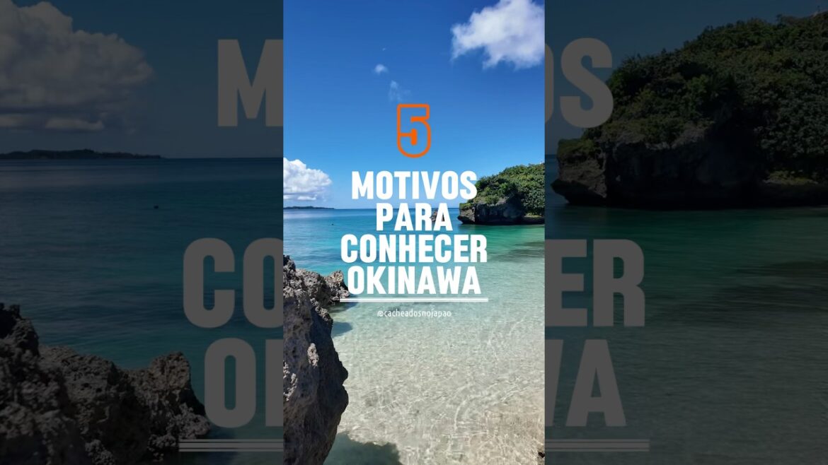 PARAÍSO NO JAPÃO 🏝️🇯🇵 #okinawa #japão