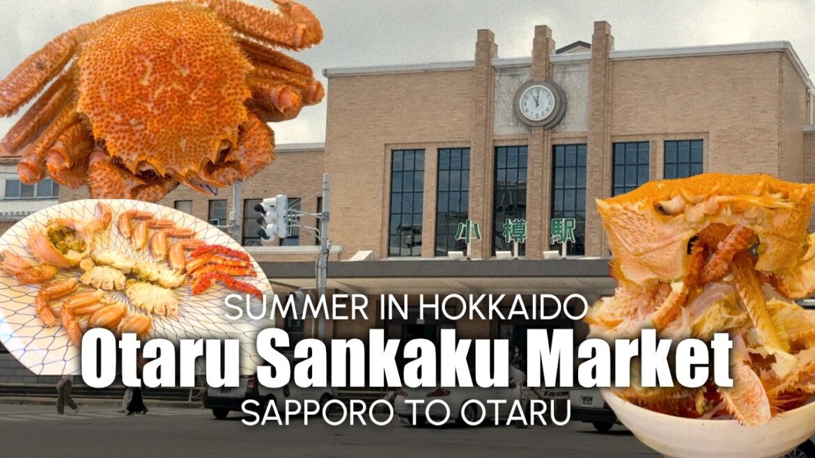 Summer in Hokkaido ☀️ Sapporo to Otaru, Otaru Sankaku Market