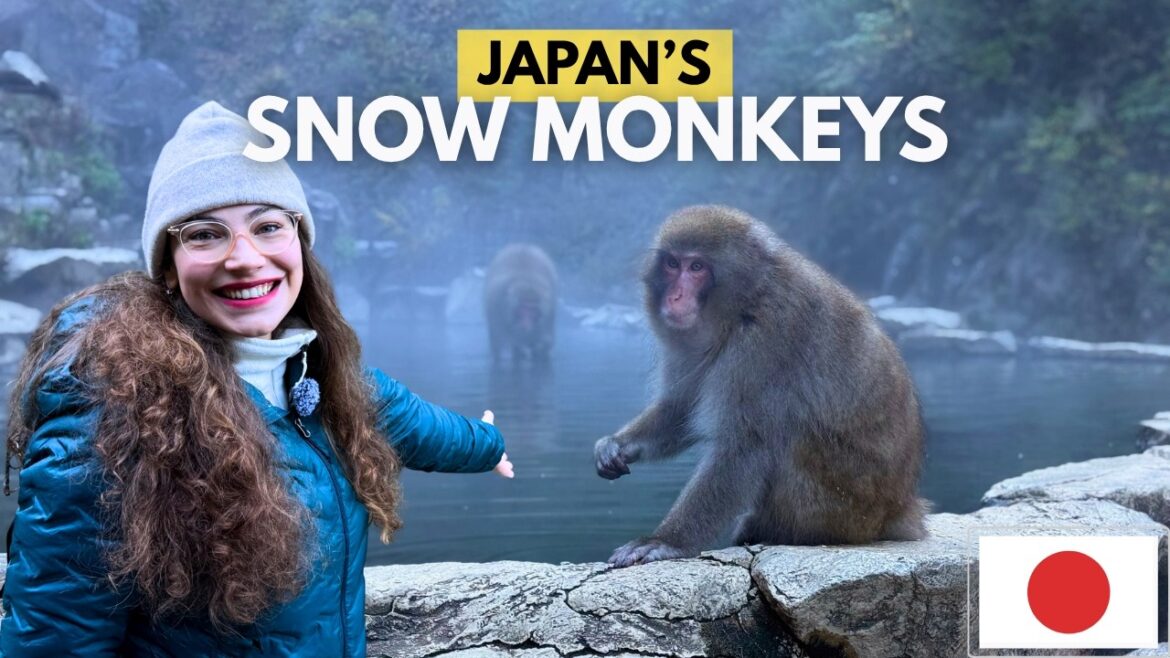 I Went to See the Snow Monkeys in Japan — This Is What It’s Really Like