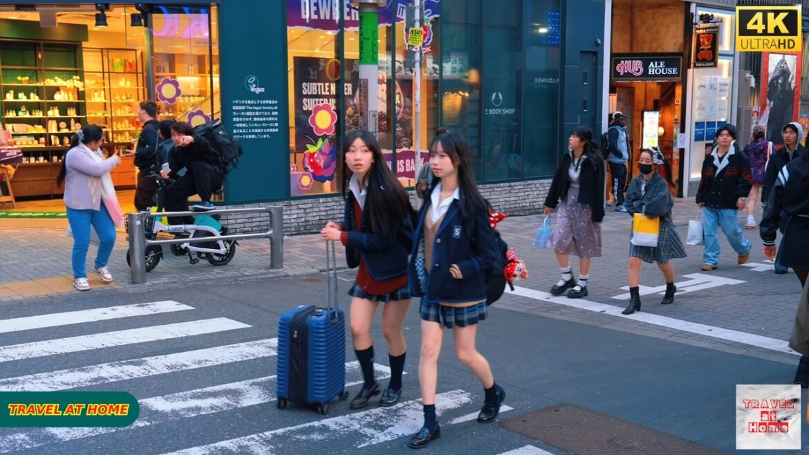 4K HDR Japan travel 2026 | Walk in Shibuya (渋谷) Tokyo Japan | Relaxing Natural City ambience
