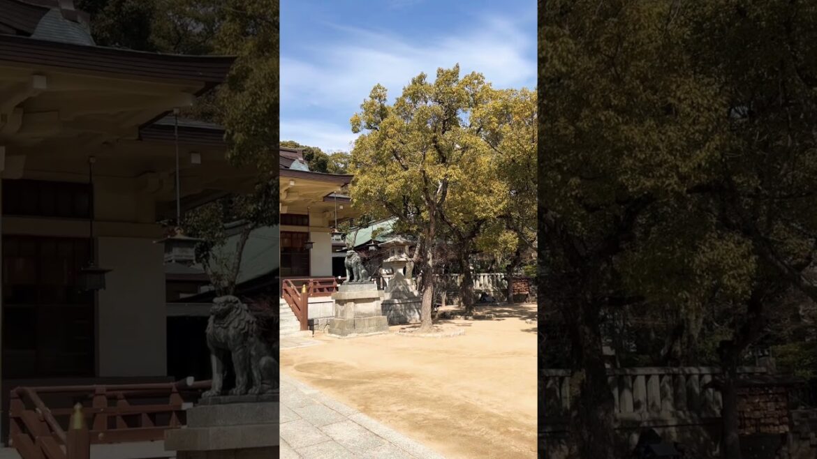 【Kobe】Must-See Hidden Gems - Minatogawa Shrine