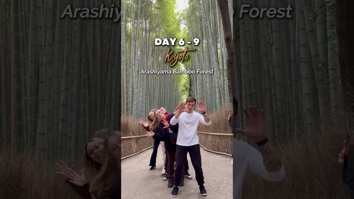 Japan 14 Day Itinerary 🇯🇵 | Small Group Tour (Tokyo, Kyoto & Osaka) | One Life Adventures Japan 14 Day Itinerary 🇯🇵 | Small Group Tour (Tokyo, Kyoto & Osaka) | One Life Adventures