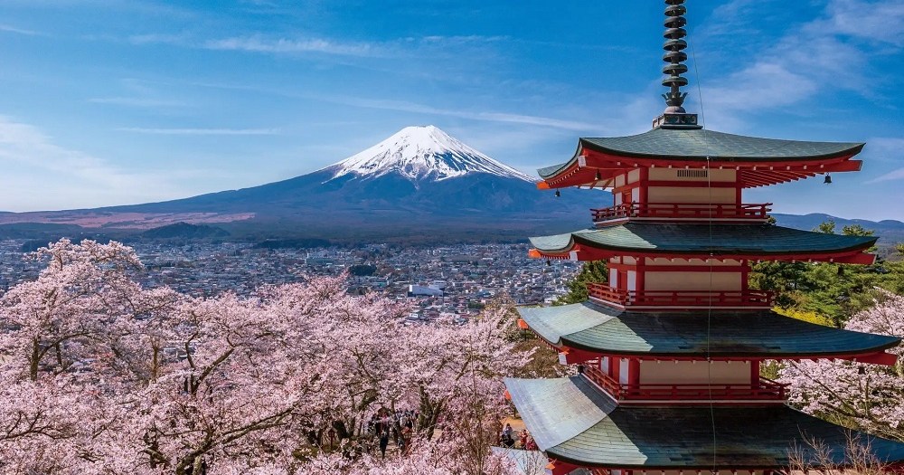 Japan’s most famous Mt. Fuji view park cancels cherry blossom festival because of overtourism Japan’s most famous Mt. Fuji view park cancels cherry blossom festival because of overtourism