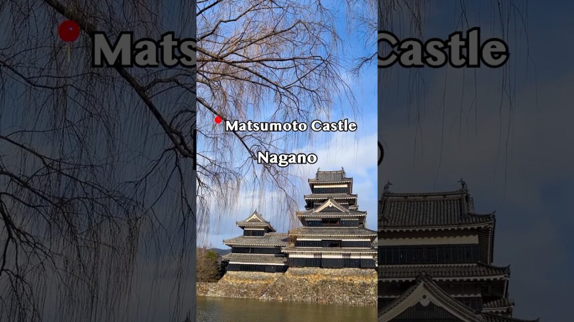 🏯Matsumoto Castle - Nagano (松本城 – 長野)