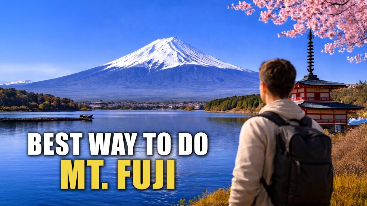 Mt. Fuji Travel Guide | Best Viewpoints & Day Trips From Tokyo
