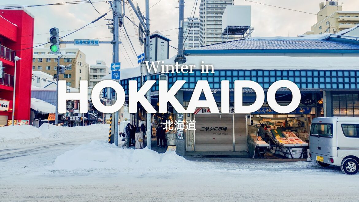 Hokkaido Winter Trip | Exploring Snowy Sapporo, Cafes & Sushi | JAPAN VLOG