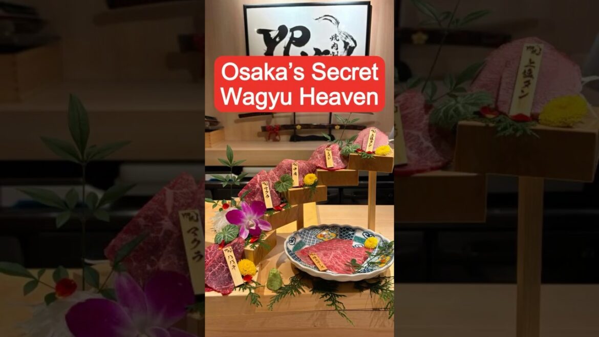 Osaka’s Wagyu Staircase🥩 #yakiniku #vlogjapan #japanesefood #japantravel Osaka’s Wagyu Staircase🥩 #yakiniku #vlogjapan #japanesefood #japantravel