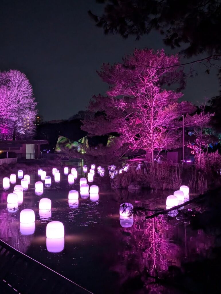 teamLab Botanical Garden Osaka