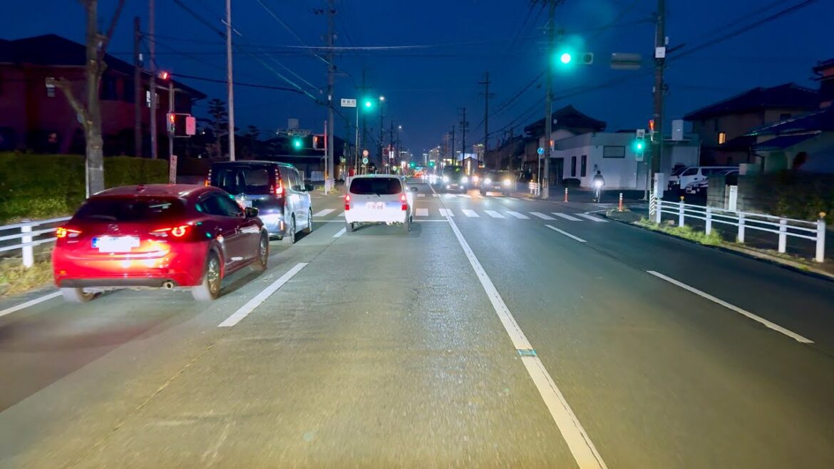 Toyohashi City Night Drive