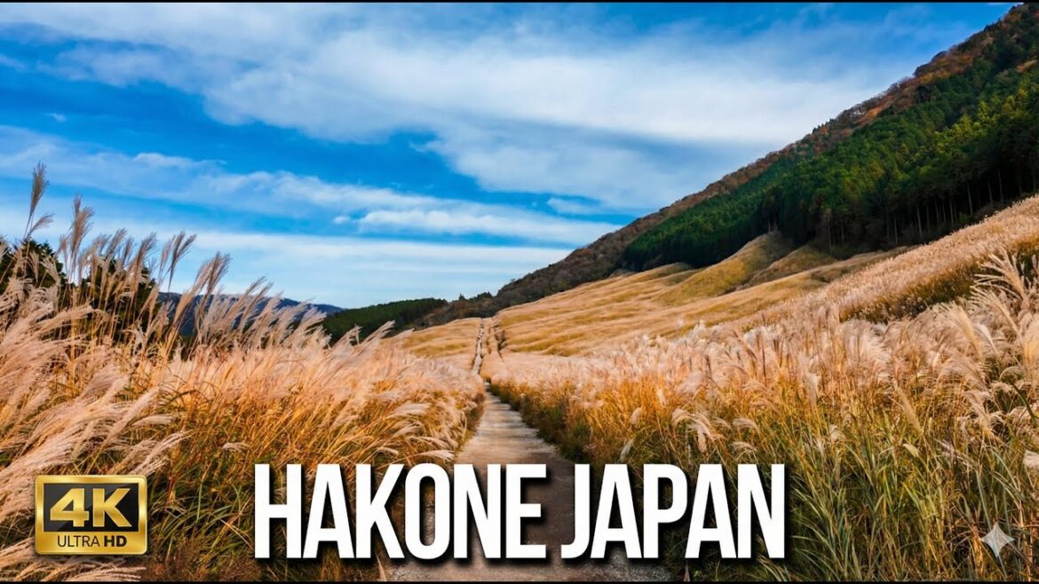 HAKONE JAPAN 4K ASMR Walking Tour – Sacred Shrine & Golden Pampas Grass 【4K HDR】 HAKONE JAPAN 4K ASMR Walking Tour - Sacred Shrine & Golden Pampas Grass 【4K HDR】