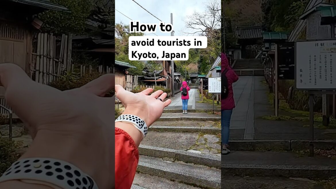 How to avoid tourists in Kyoto in 2025? (filmed now)