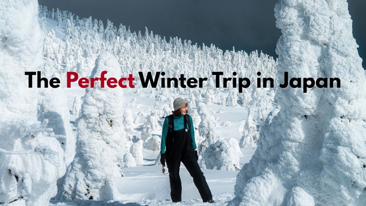 We Nailed It! The PERFECT Japan Winter Trip North of Tokyo