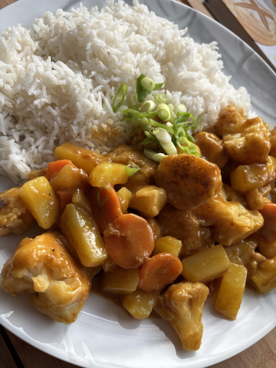 Kare Raisu ,without meat / Kare Raisu, ohne Fleisch in der Veggie-Edition