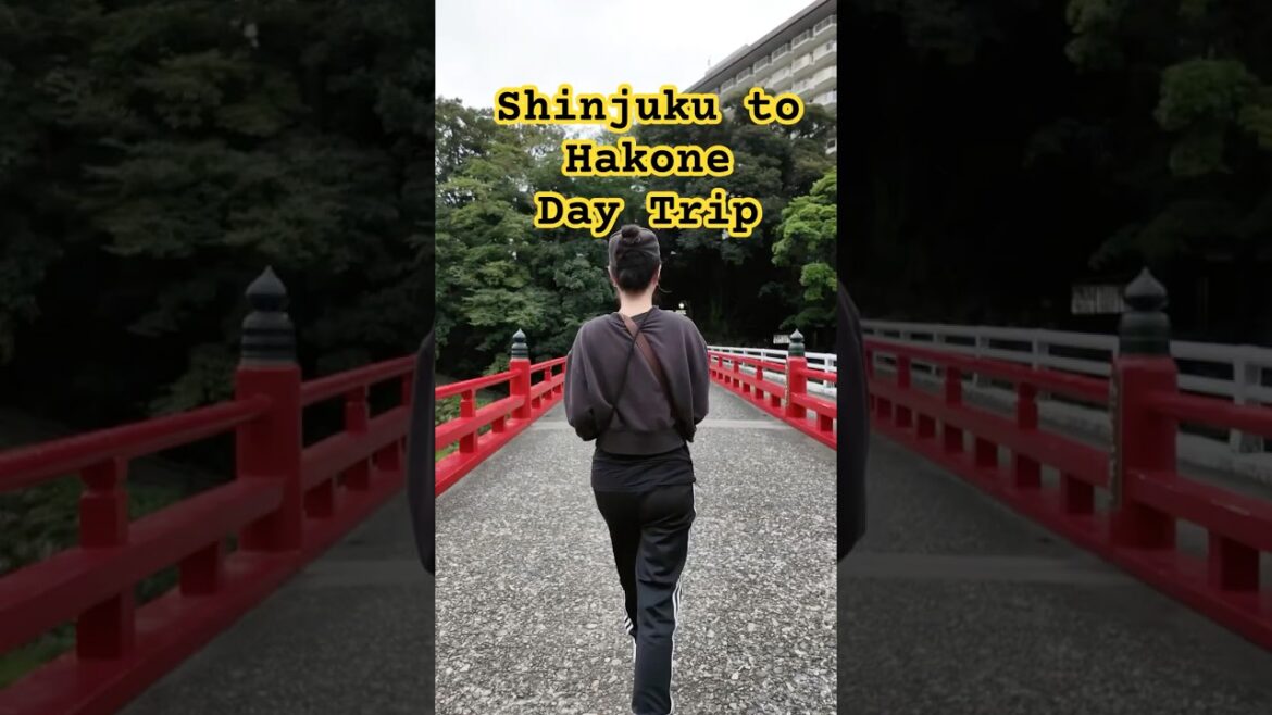 Shinjuku to Hakone Day trip 🇯🇵