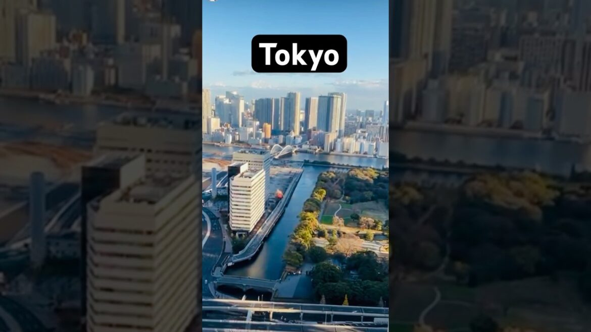 Tokyo From Hotel Rooftop