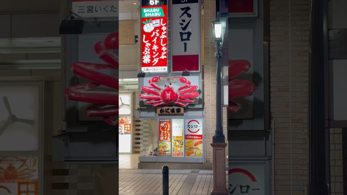 Travel Vlog Kobe Japan From Quiet Park Views To Vibrant Sannomiya Night Streets Travel Vlog Kobe Japan From Quiet Park Views To Vibrant Sannomiya Night Streets