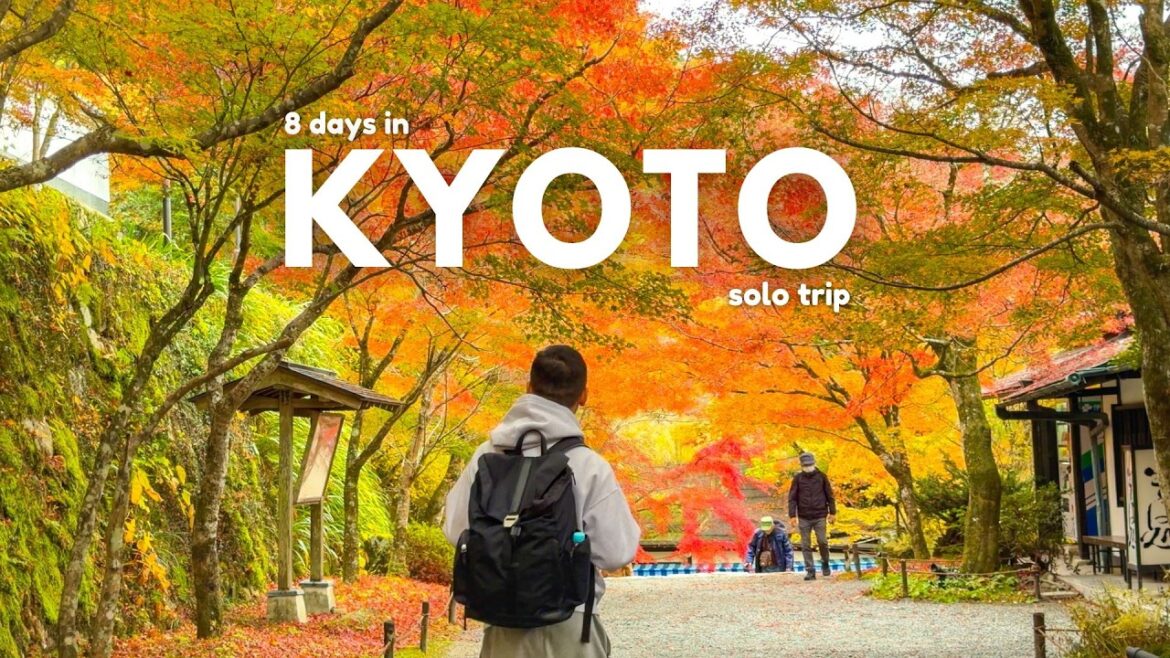 Kyoto Autumn 8 day introvert solo trip 🇯🇵  - part 1