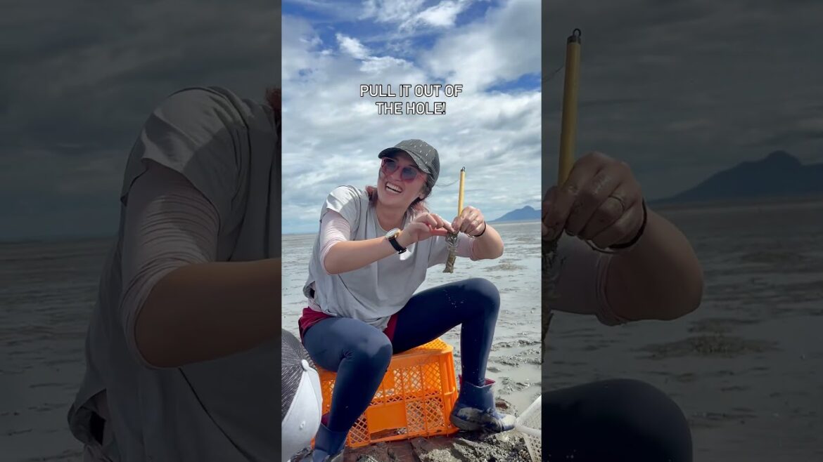 Majaku Mud Shrimp Fishing in Arao Kumamoto