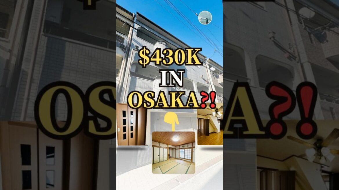 Tour a $430K Osaka Mansion with a Private Elevator! 🇯🇵 #Shorts#japanrealestate #japan #japanhome Tour a $430K Osaka Mansion with a Private Elevator! 🇯🇵 #Shorts#japanrealestate #japan #japanhome